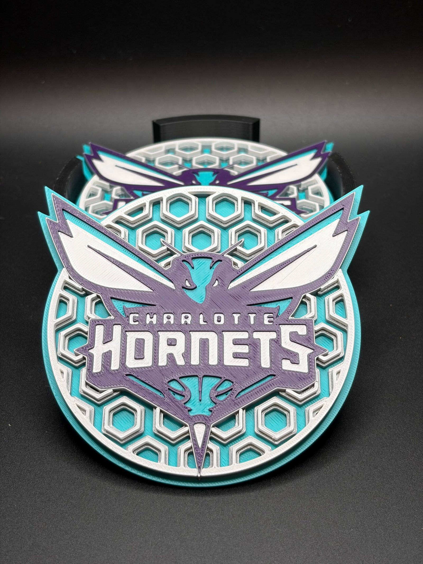 Charlotte Hornets Coaster Set